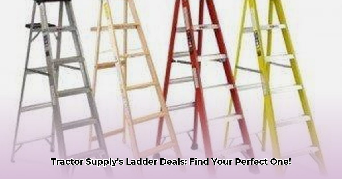ladders-tractor-supply